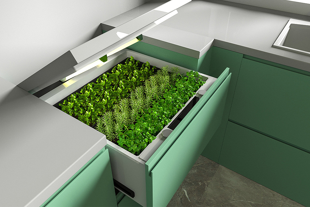 compact，plant，green food，Save space，monitor，