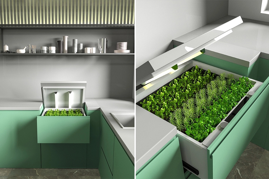 compact，plant，green food，Save space，monitor，