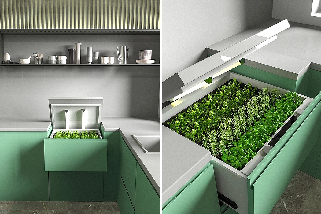 compact，plant，green food，Save space，monitor，