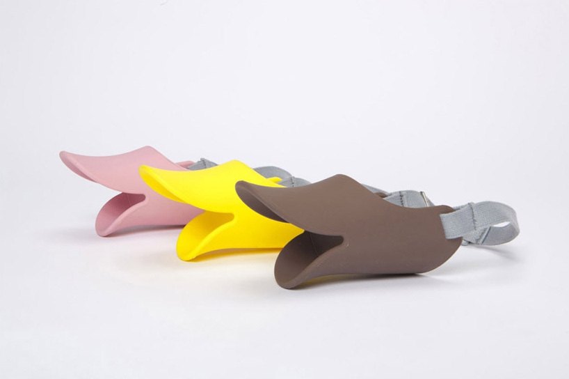 lovely，interest，muzzle，dog，