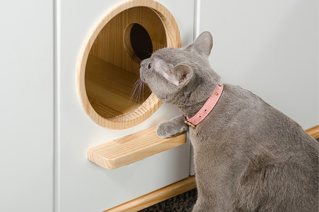 Father Pets，cattery ，Cat tower，Pets，Home Furnishing，Lockers，