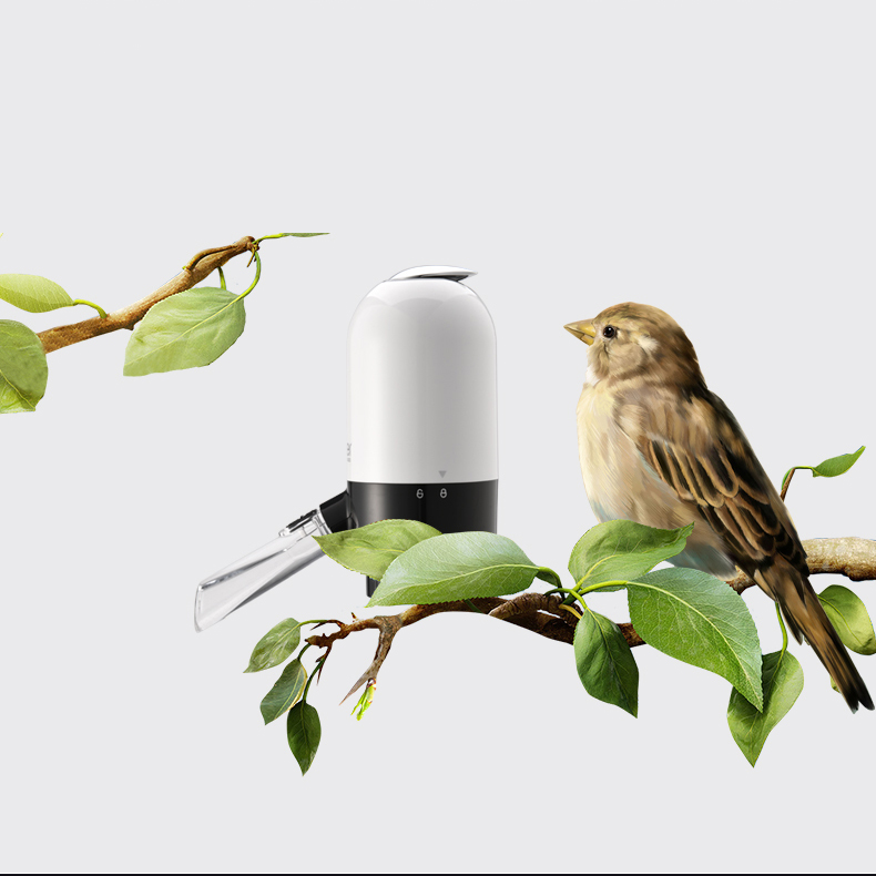 red wine，decanter，Wine dispenser，Electric wine Decanter，Electric wine separator，Electric wine Decanter，Wine set，Red wine set，