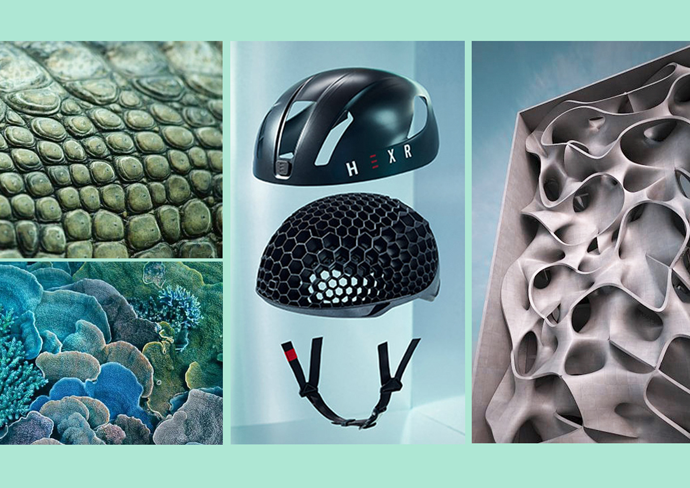 footwear，sneakers，3D printing，practical，