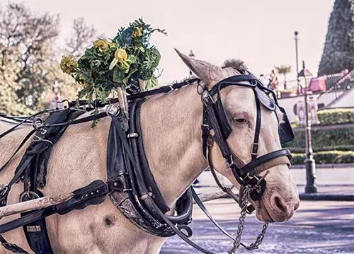 picture，website，resources，Design，