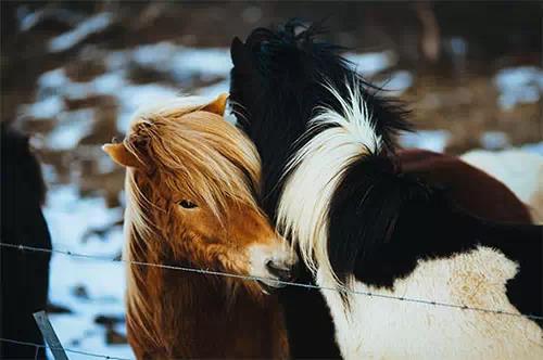 picture，website，resources，Design，