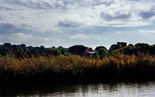 picture，website，resources，Design，