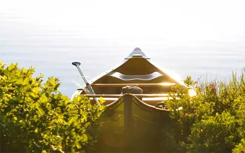 picture，website，resources，Design，