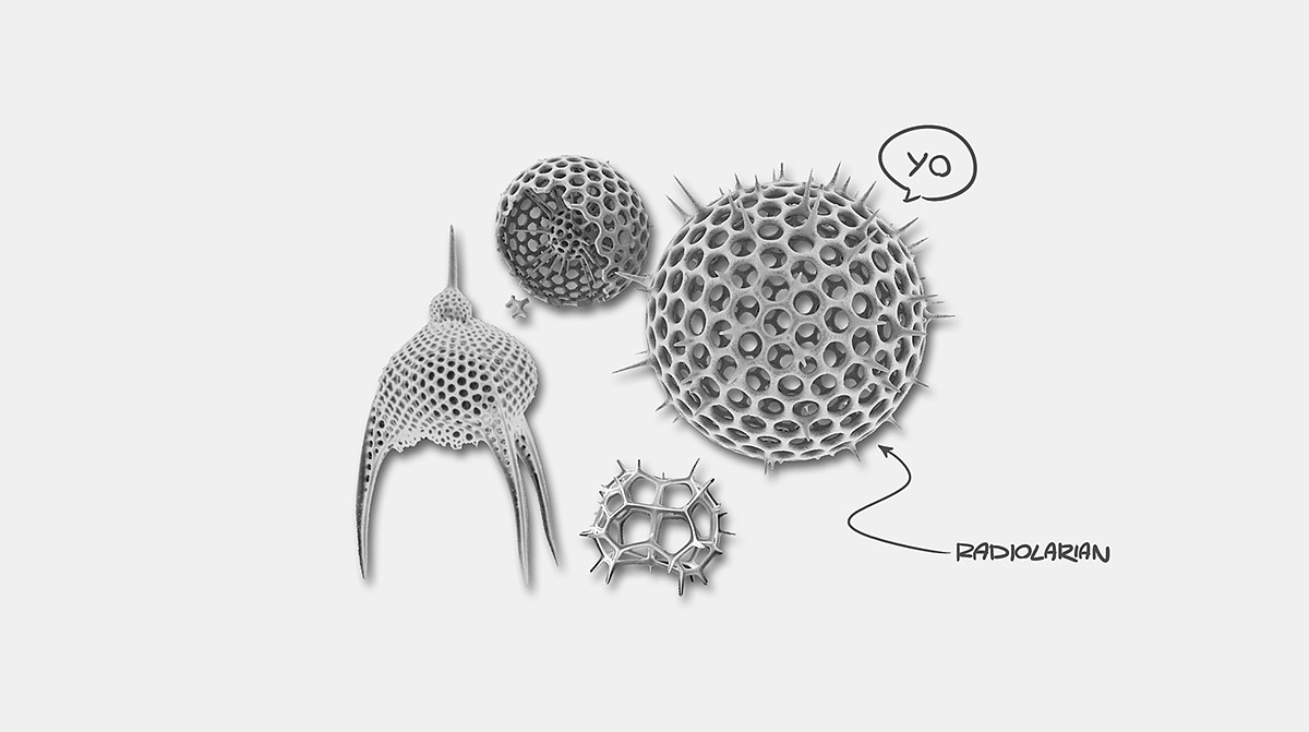 Specimen 01，Deep sea，Micro Biology，Model，