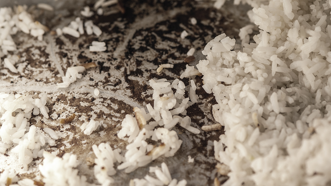 rotate，spherical，Kitchen appliances，rice cooker，rice cooker，rice，