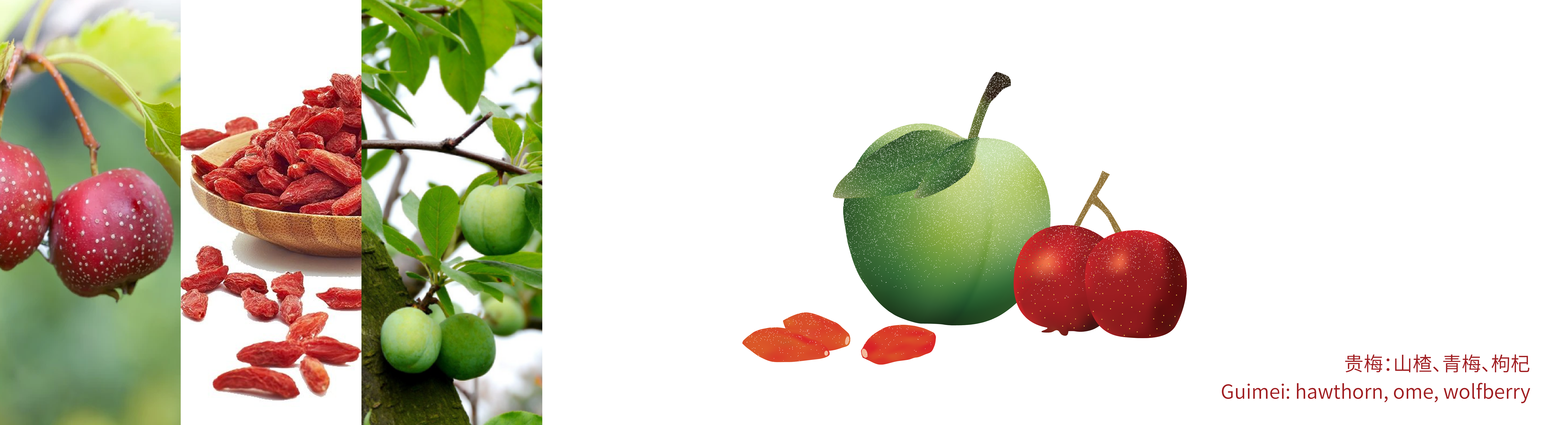 Yellow Wine，Green plum wine，Osmanthus wine，Plum wine，packing design，