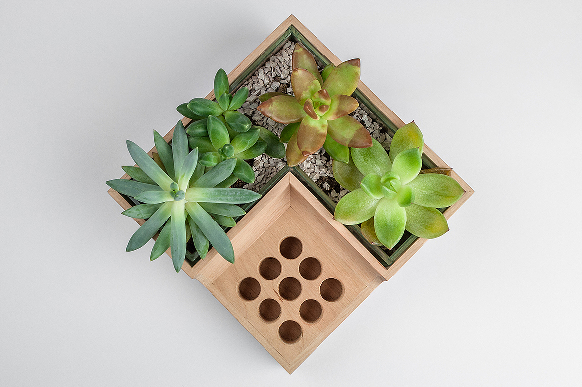 Potted plants，pen container，Eco pot，wood，