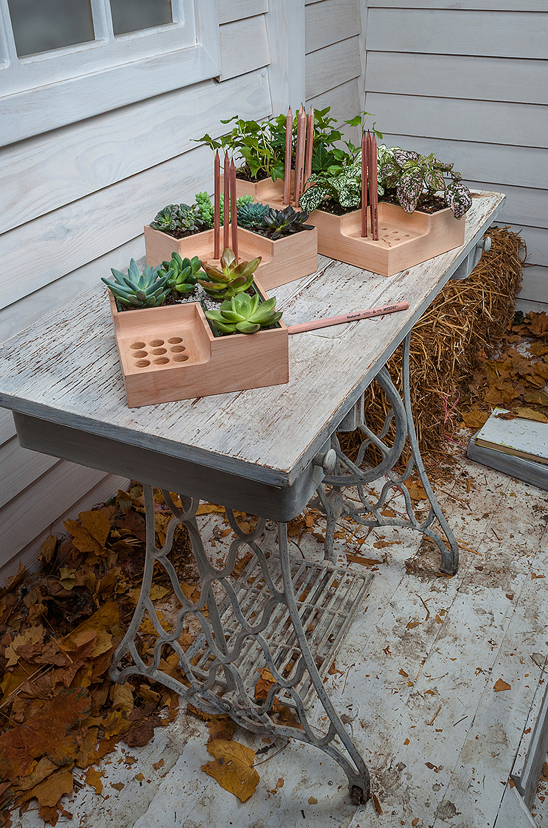 Potted plants，pen container，Eco pot，wood，