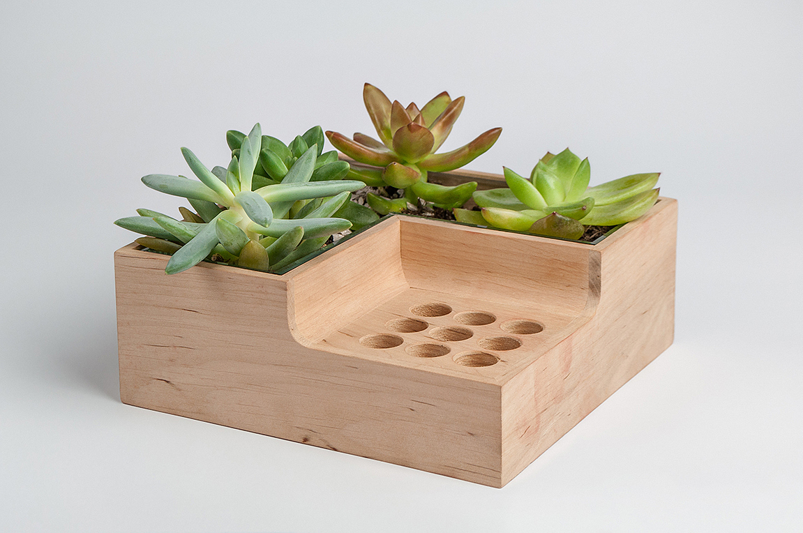 Potted plants，pen container，Eco pot，wood，