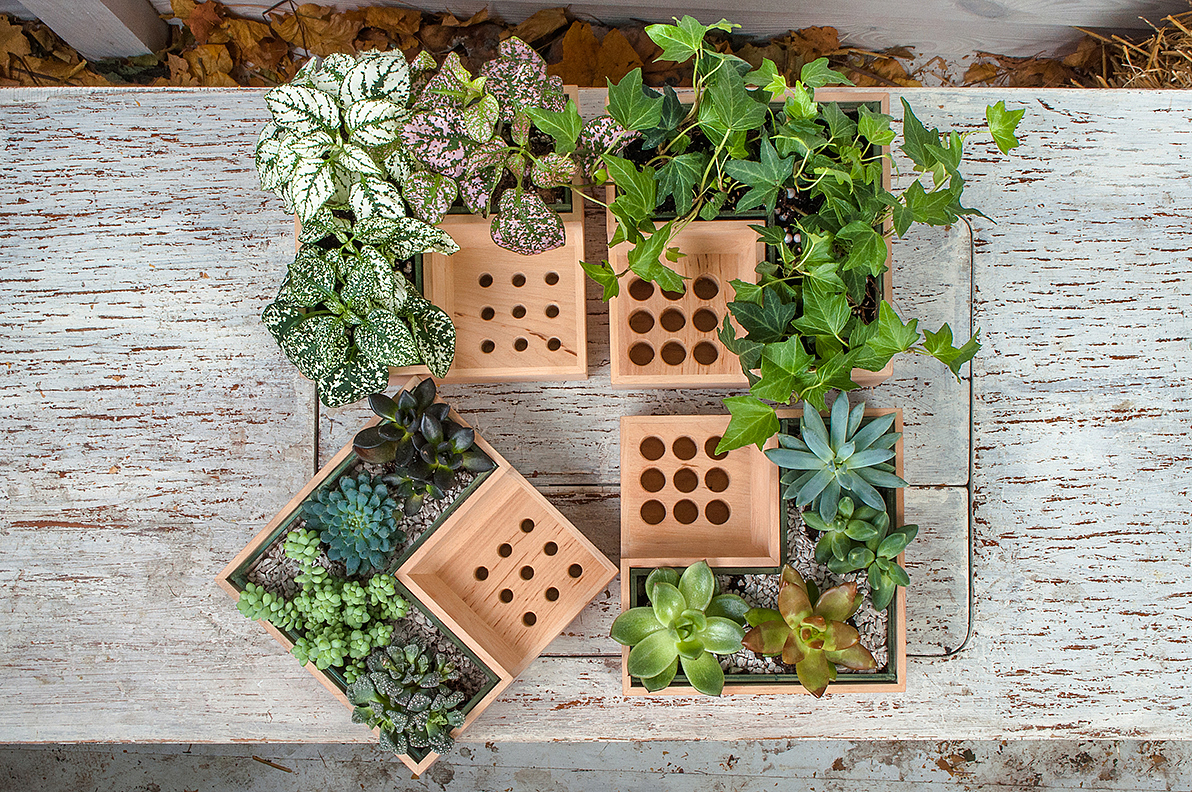 Potted plants，pen container，Eco pot，wood，