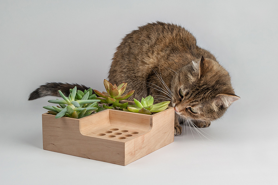 Potted plants，pen container，Eco pot，wood，