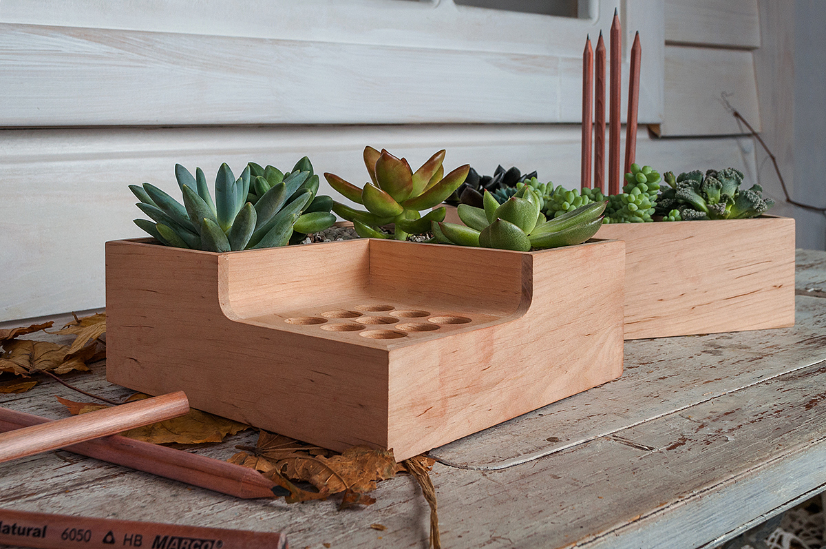 Potted plants，pen container，Eco pot，wood，