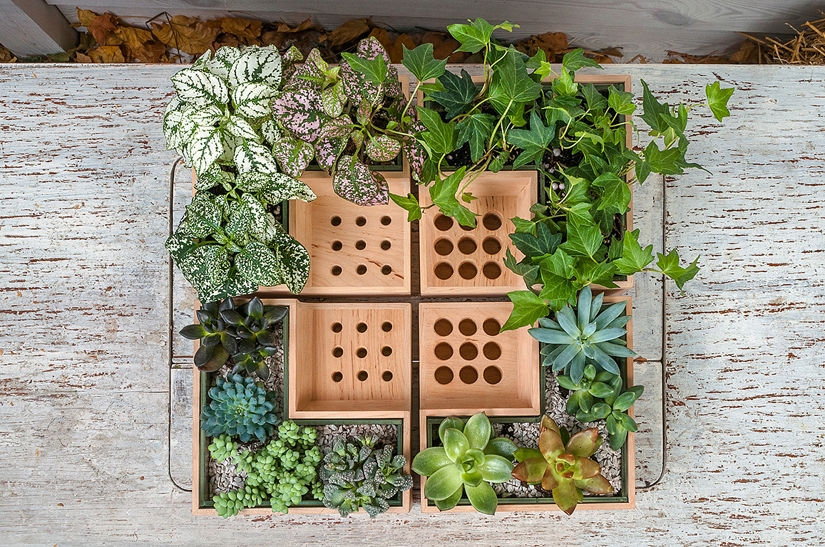 Potted plants，pen container，Eco pot，wood，