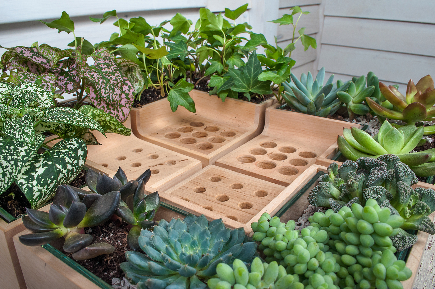 Potted plants，pen container，Eco pot，wood，