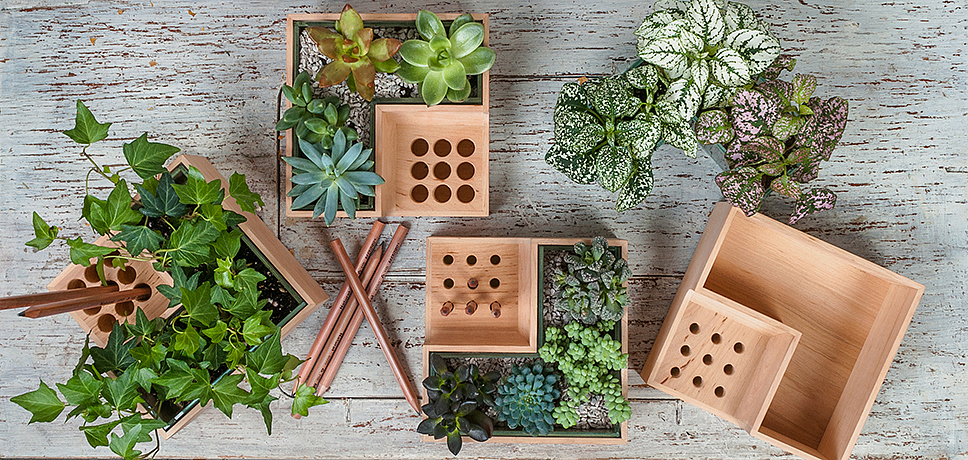 Potted plants，pen container，Eco pot，wood，