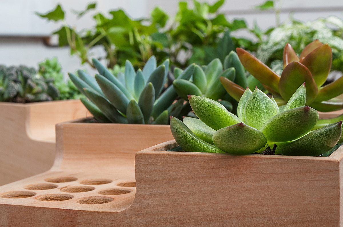 Potted plants，pen container，Eco pot，wood，