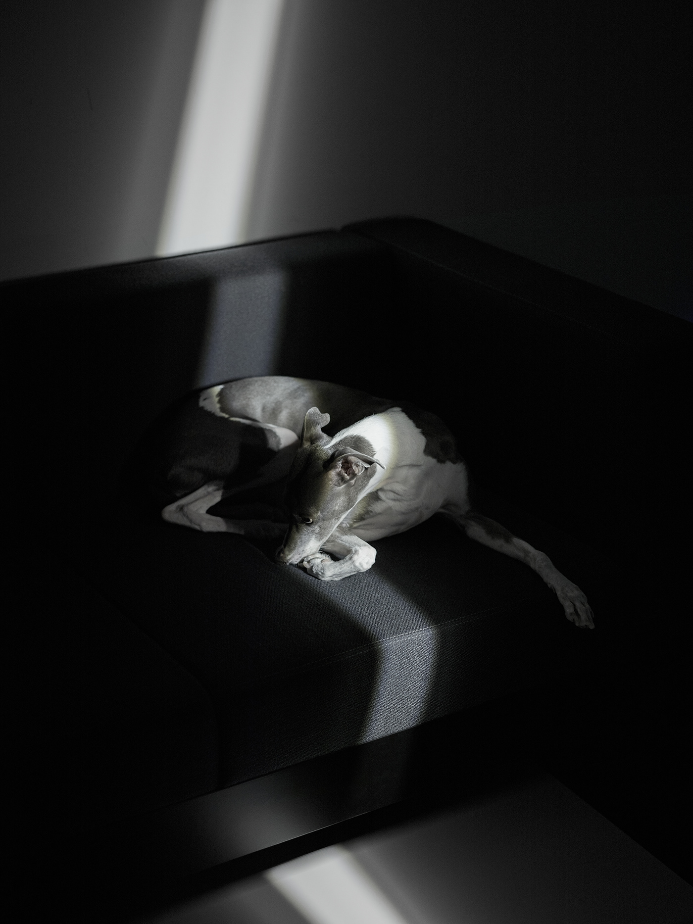 lighting，light beam，vertical，