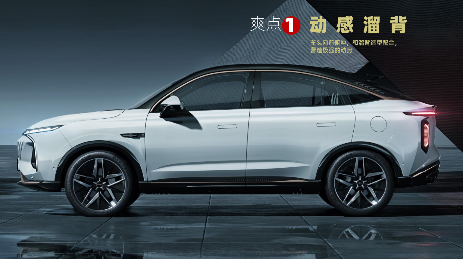 Roewe ，suv，Super large space，pragmatism，whale，