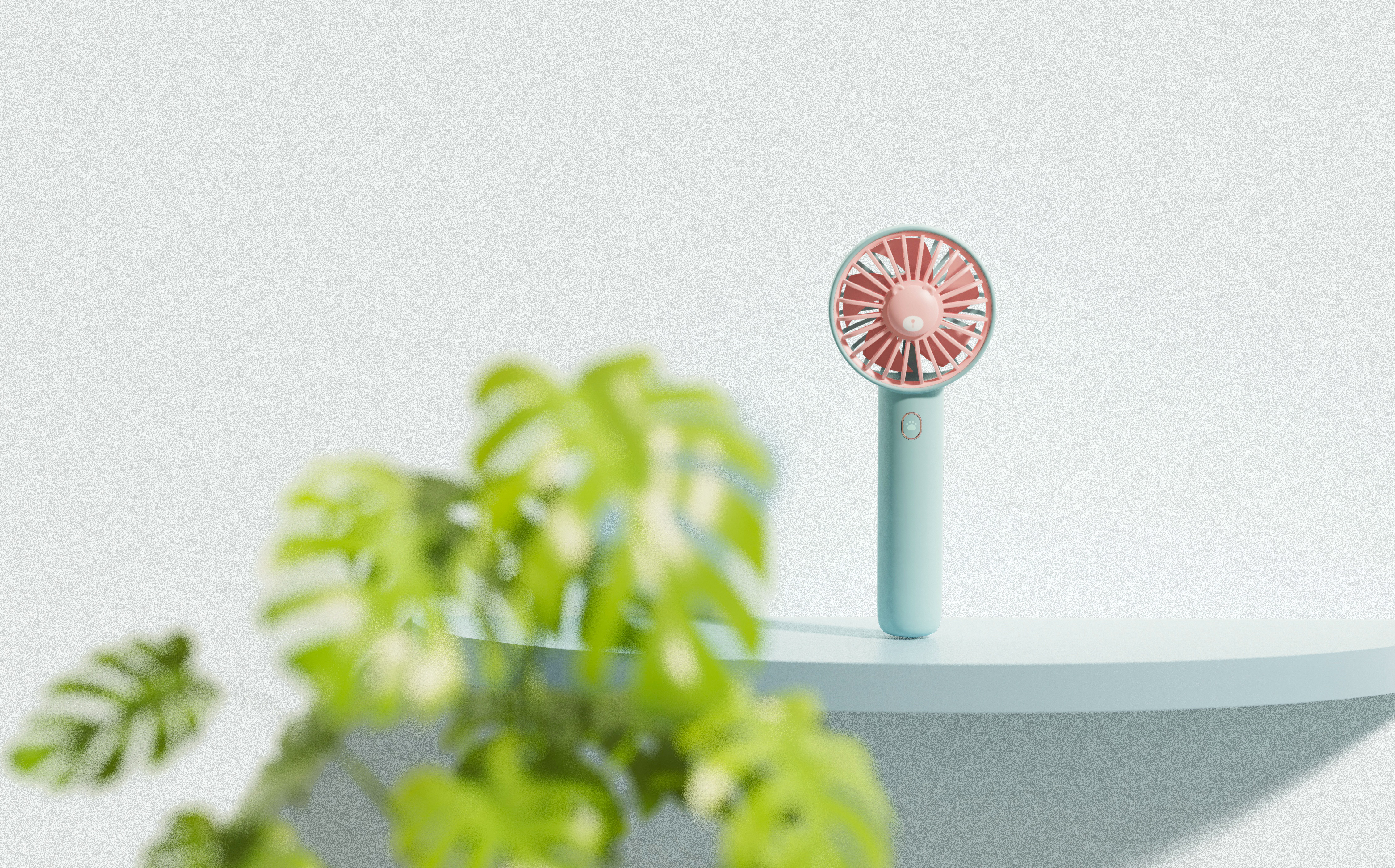 lovely，Fan，bear，