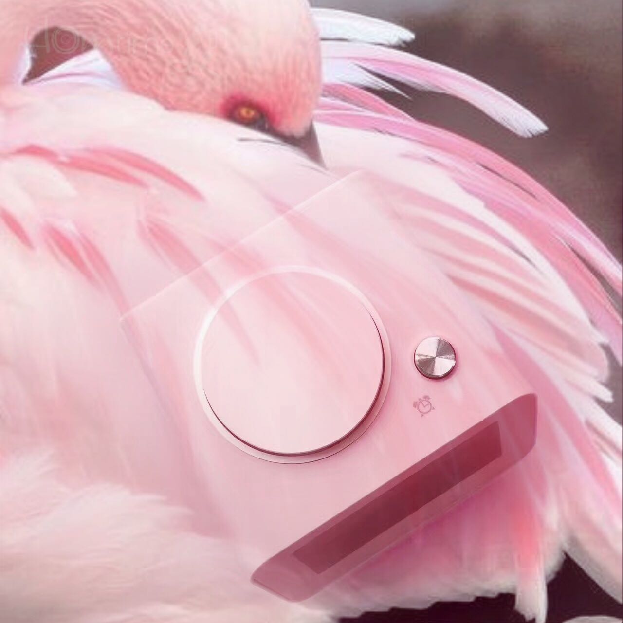 Clock, alarm clock，