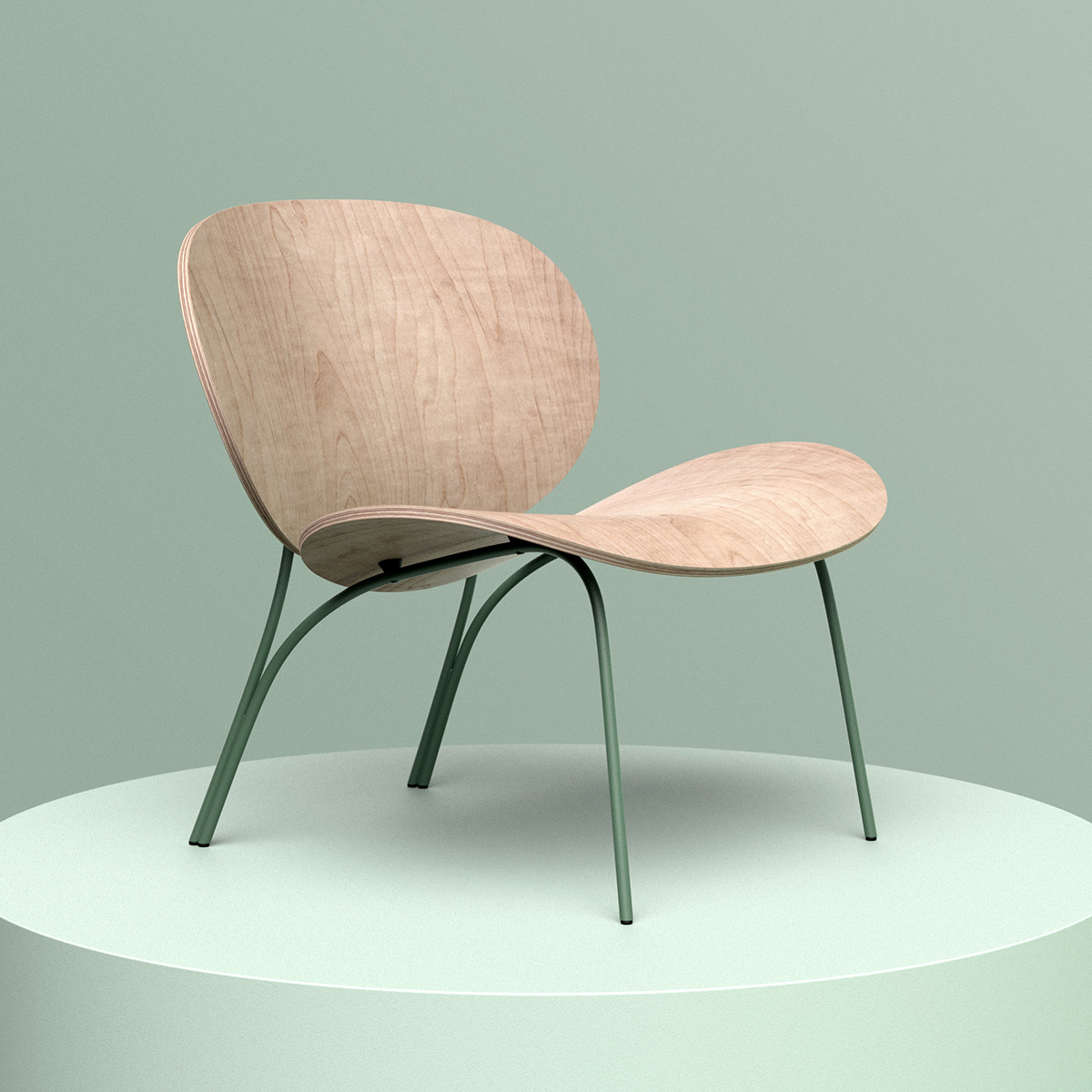 Orchid，chair，inspiration，flower，bend，