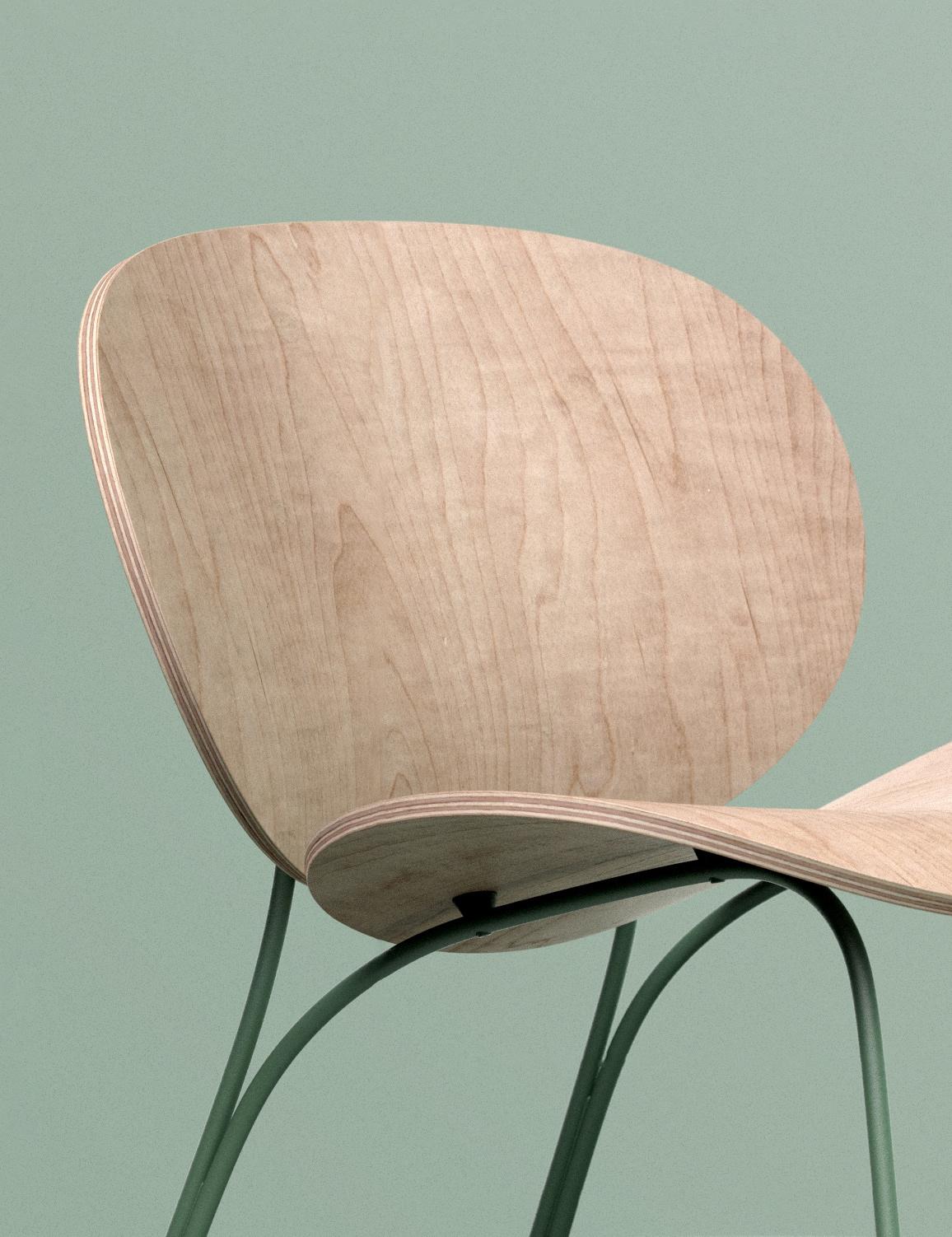 Orchid，chair，inspiration，flower，bend，