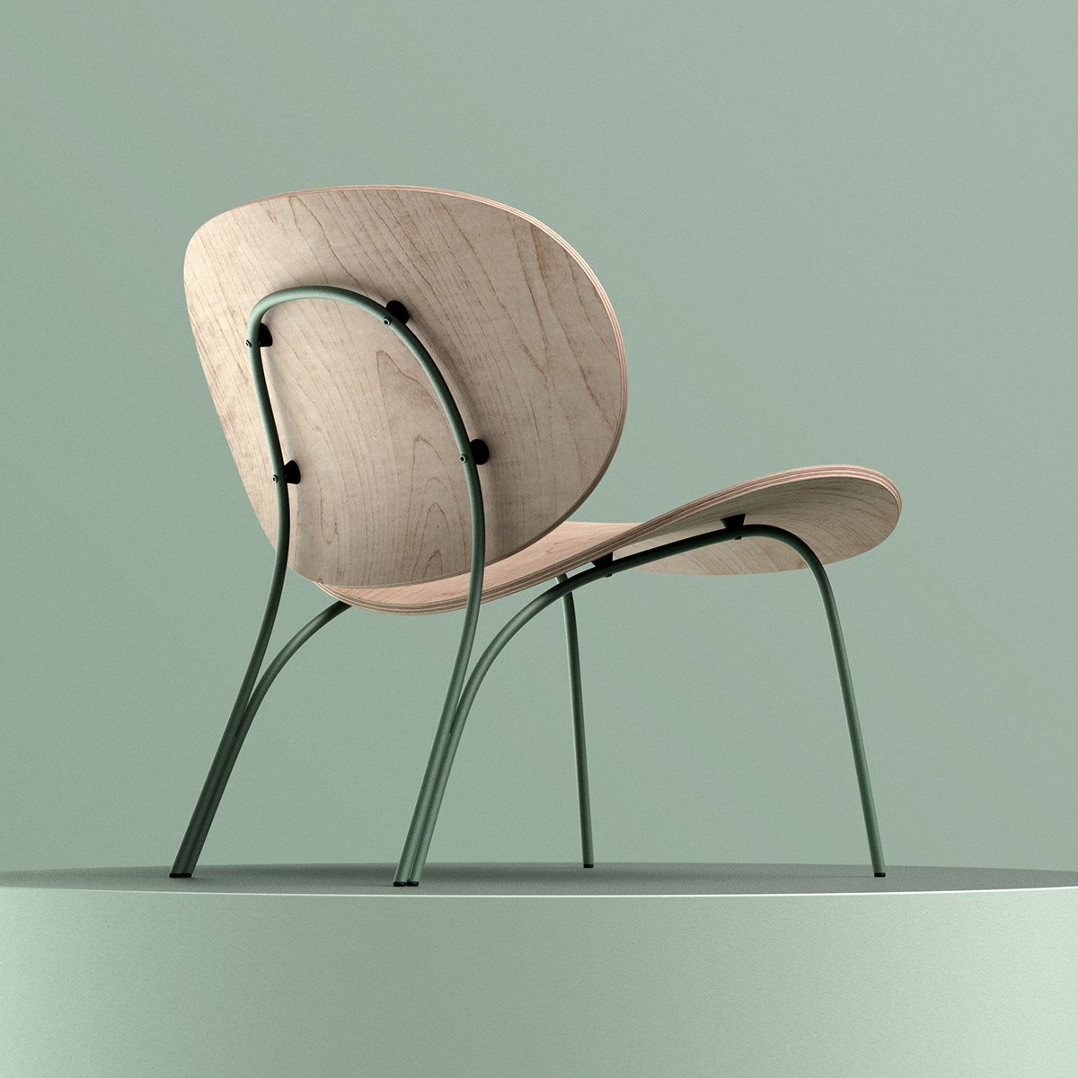 Orchid，chair，inspiration，flower，bend，