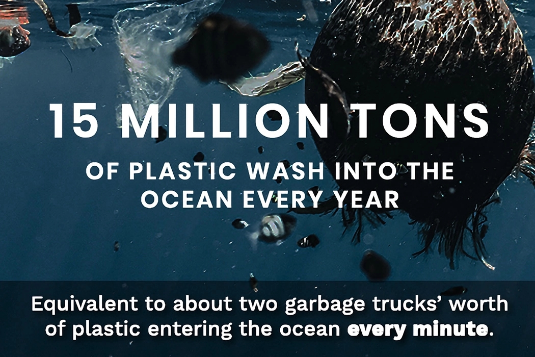 Floss，Electric，environment protection，12000 vibrations，Biodegradable，