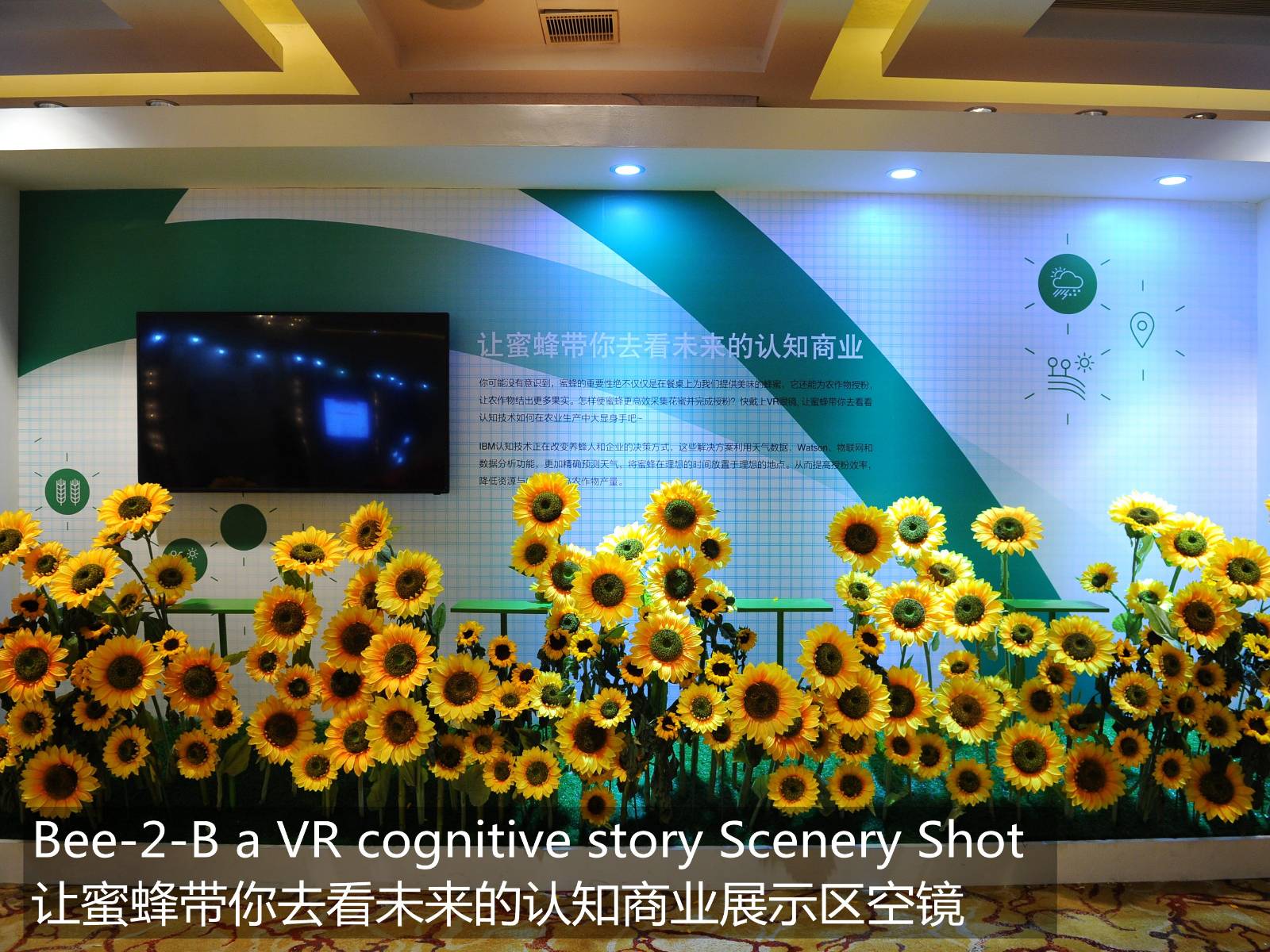 space，Commercial space，