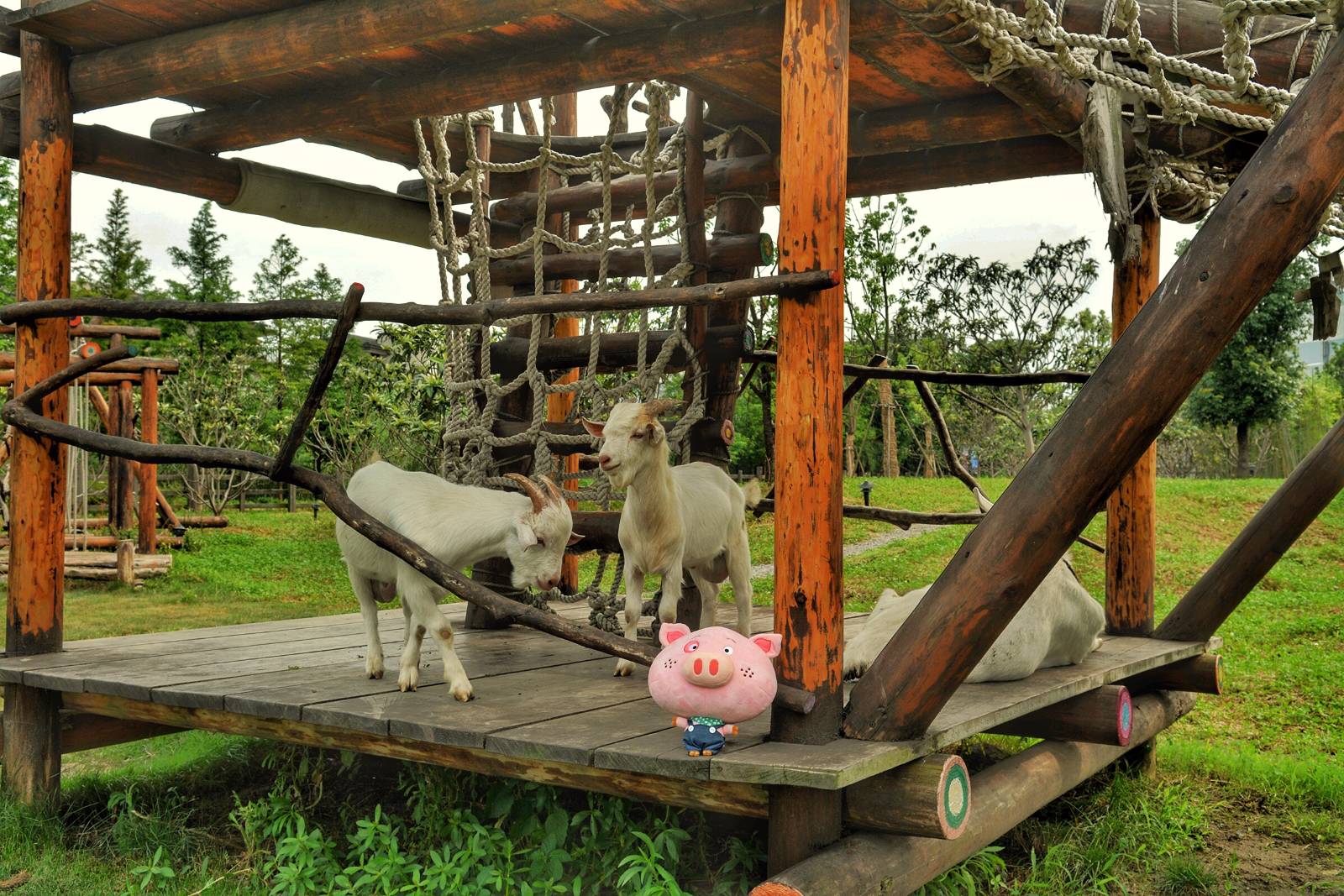 space，Theme park design，