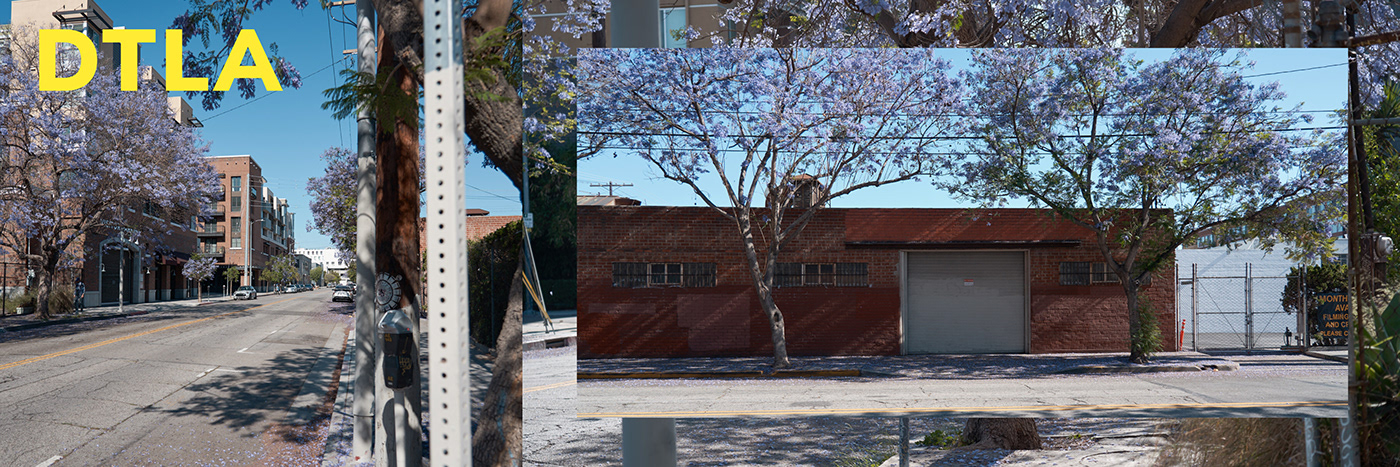 Honda，cgi，automobile，