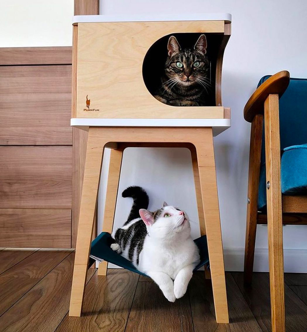 Pets，comfortable，furniture，