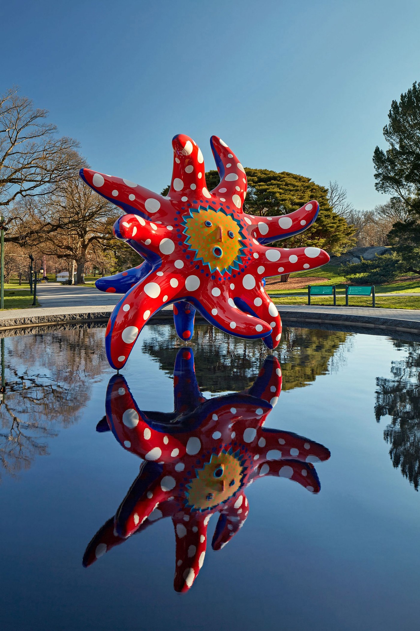 park，Dot，Botany，Artwork，