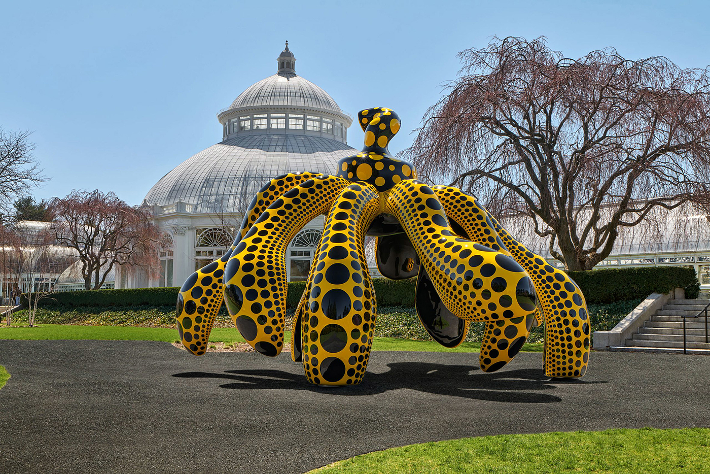 park，Dot，Botany，Artwork，