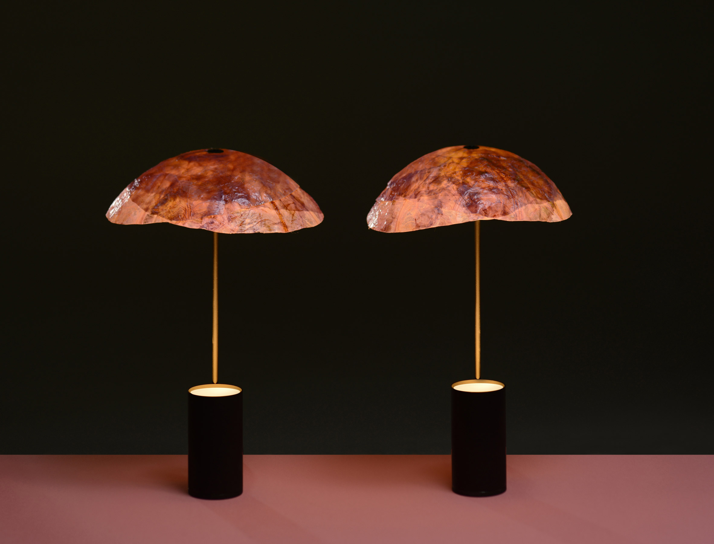 Lampshade，Desk lamp，leaf，