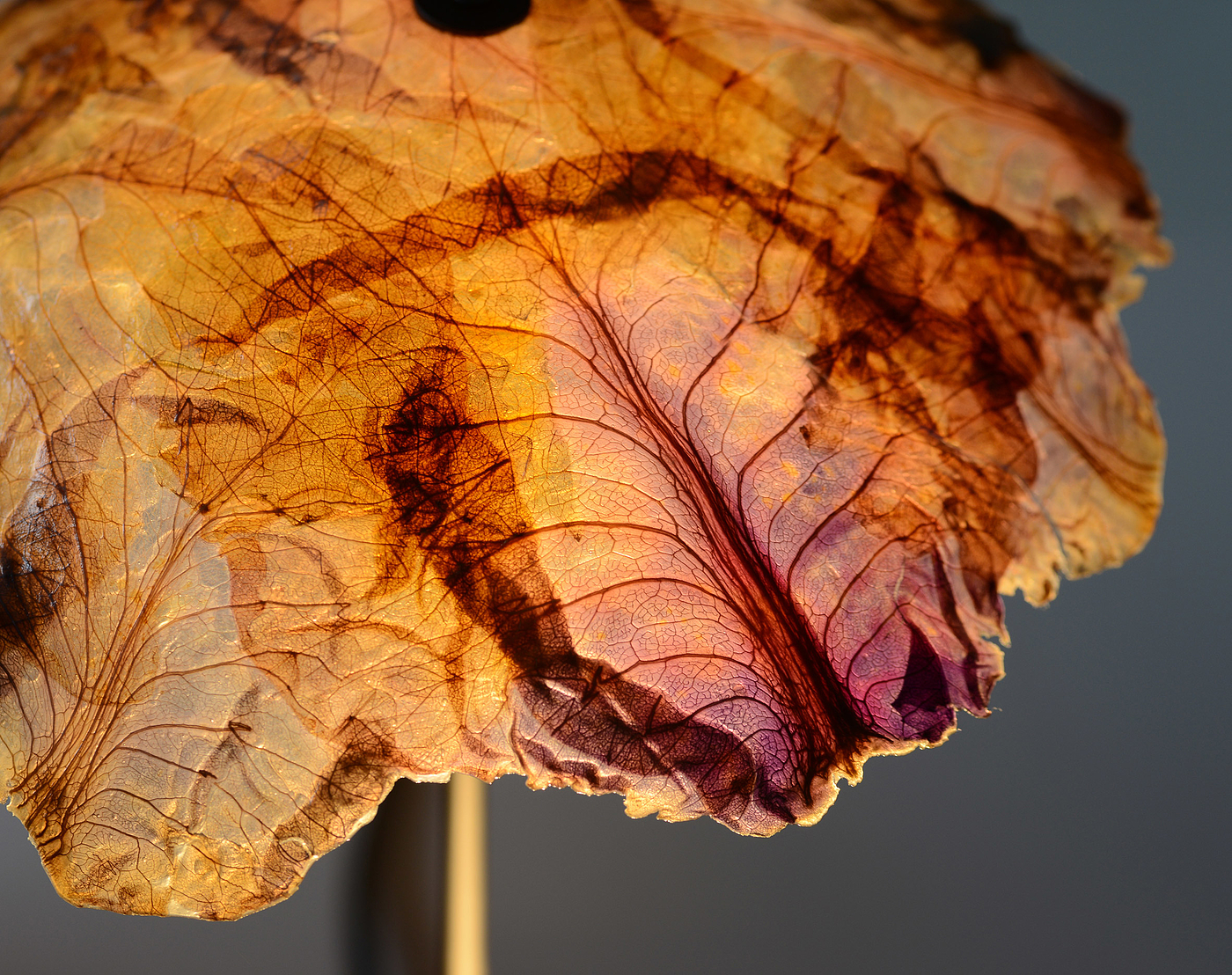 Lampshade，Desk lamp，leaf，