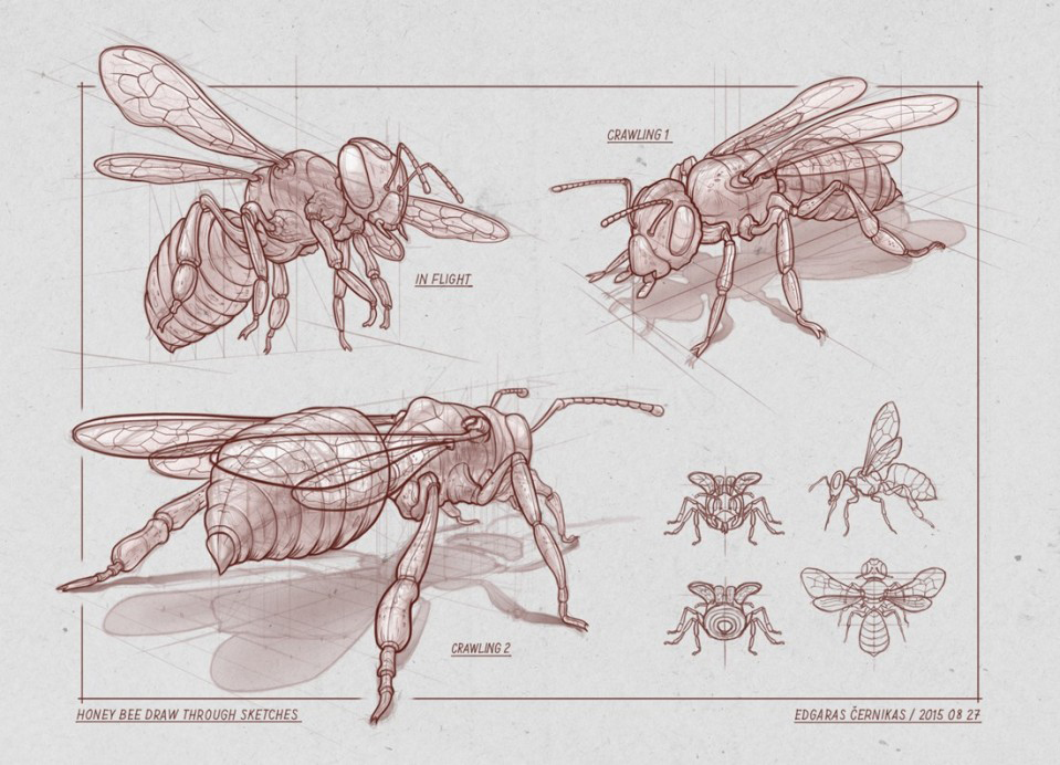 Collection，Concept Car，Hand drawn，