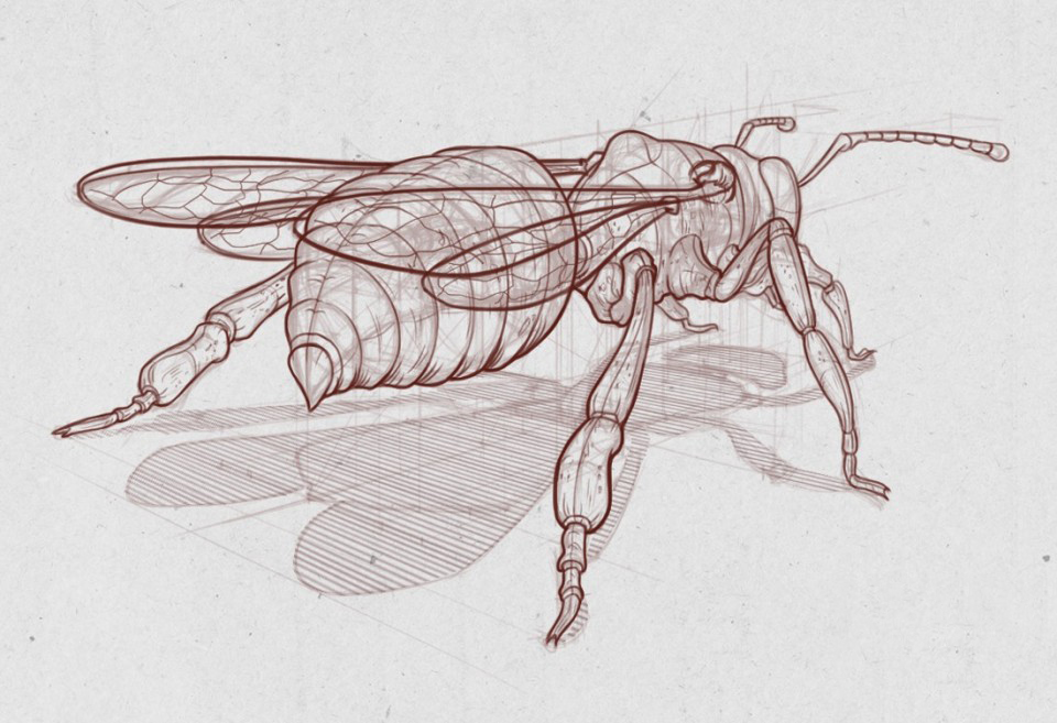 Collection，Concept Car，Hand drawn，