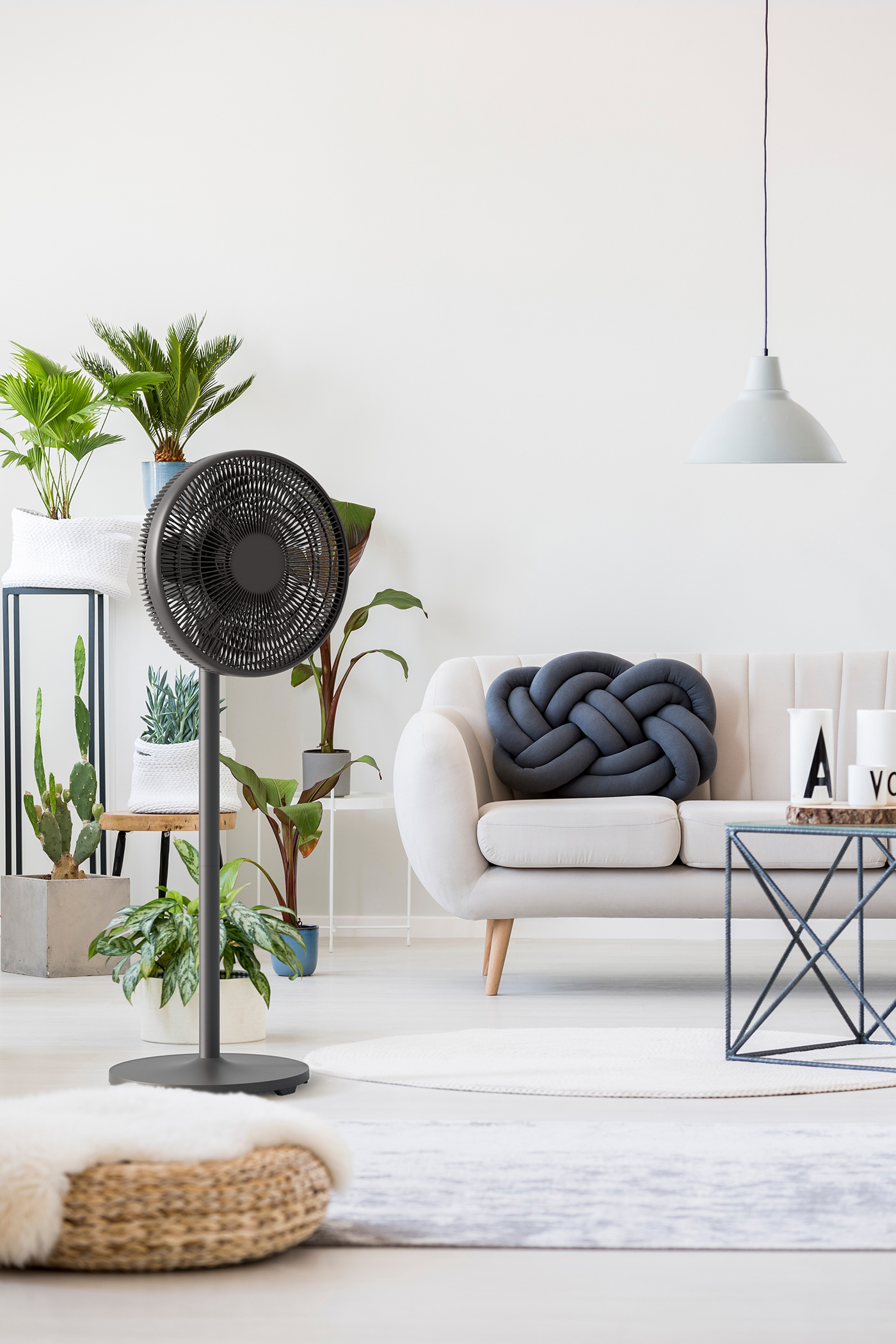 Fan，Economics，guarantee，