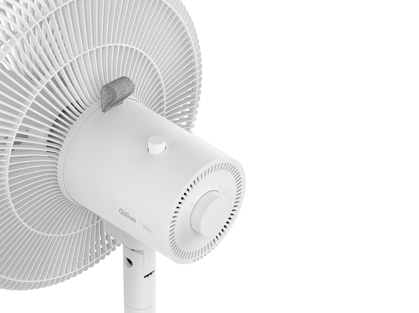 Fan，Economics，guarantee，