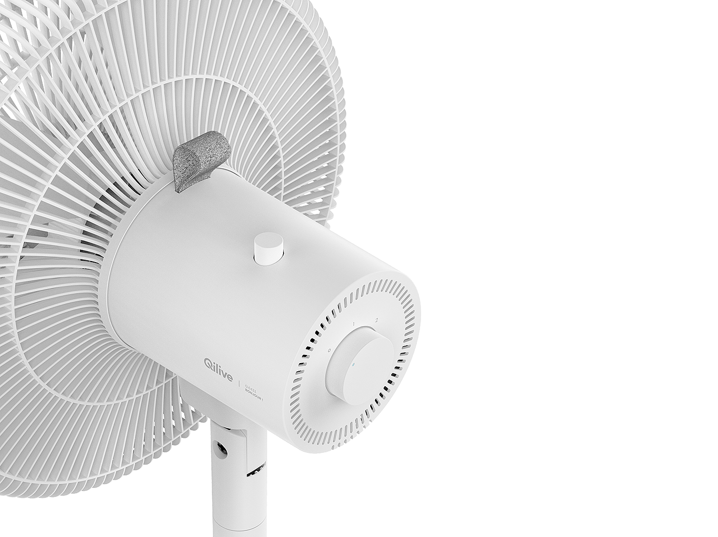 Fan，Economics，guarantee，