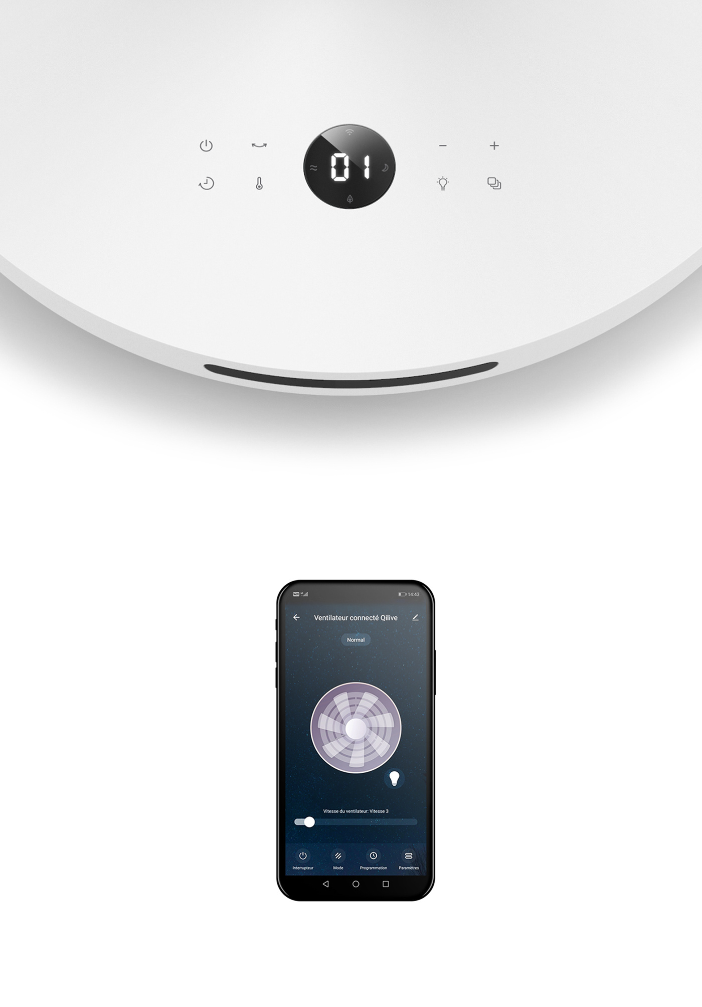 Fan，Economics，guarantee，