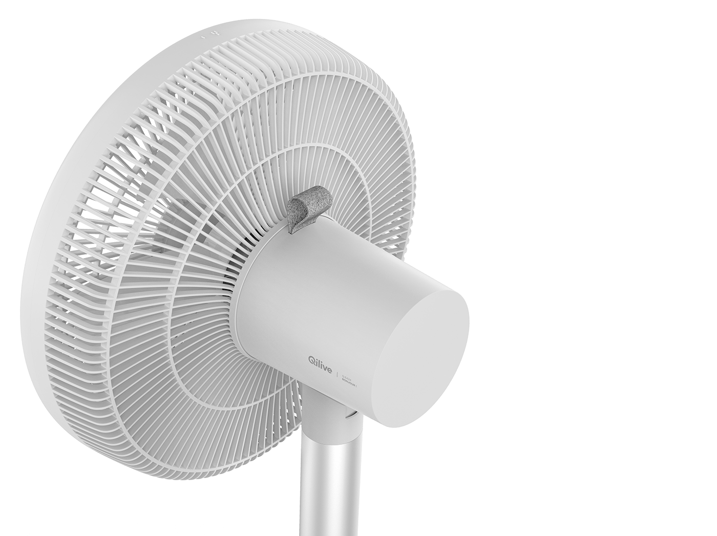 Fan，Economics，guarantee，