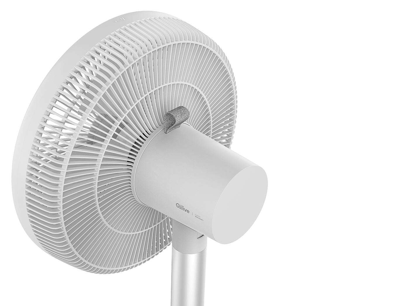 Fan，Economics，guarantee，