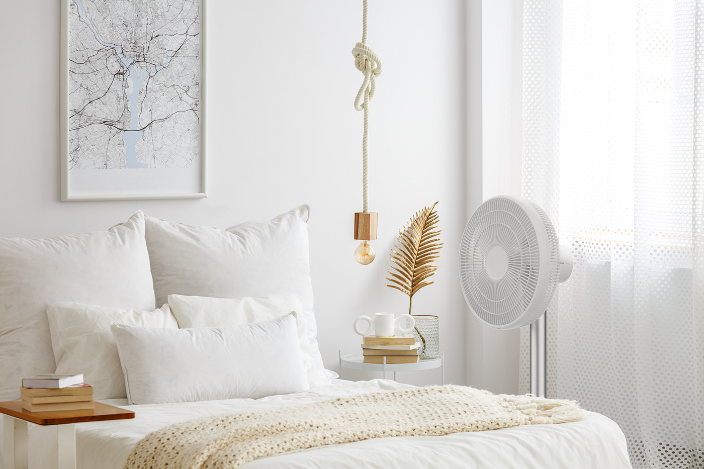 Fan，Economics，guarantee，