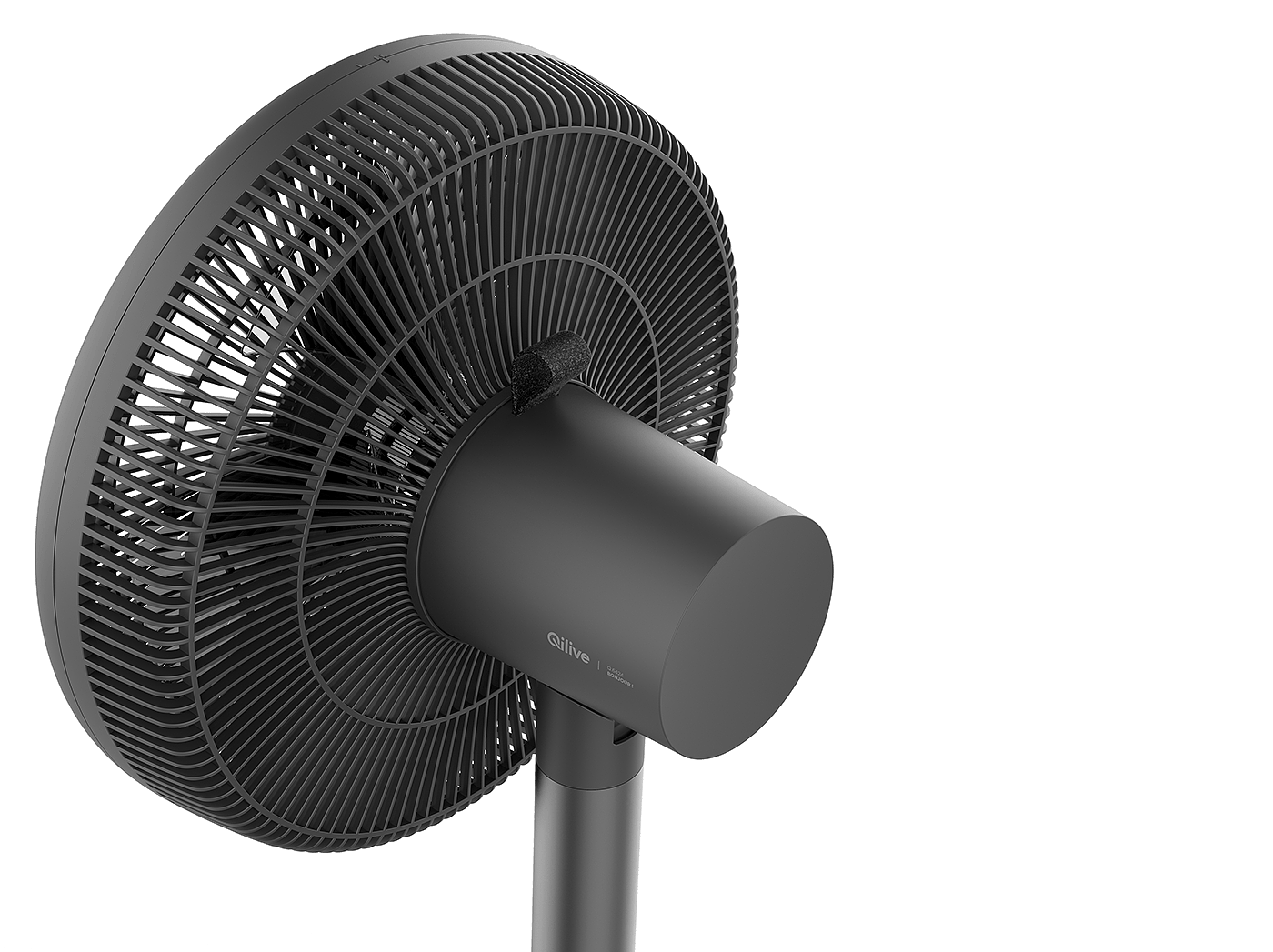 Fan，Economics，guarantee，